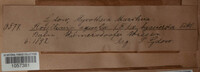 Image Associated With the Occurence